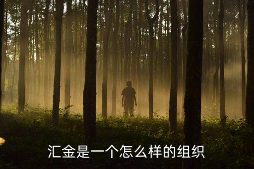 中央?yún)R金干什么的，匯金是一個(gè)怎么樣的組織