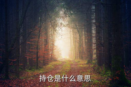 什么是買持倉，持倉是什么意思
