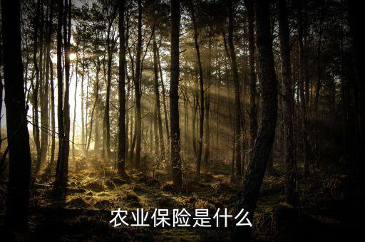 傳統(tǒng)農(nóng)業(yè)保險主要保什么風(fēng)險，農(nóng)業(yè)保險是什么