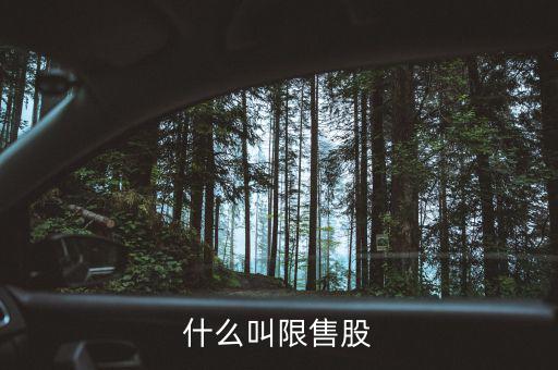 什么是上市公司限售股，什么叫限售股份