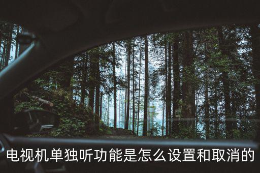 tcl電視單獨聽什么意思，電視機單獨聽功能是怎么設(shè)置和取消的