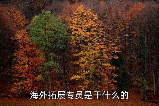 外拓業(yè)務(wù)員是做什么的，海外拓展專員是干什么的