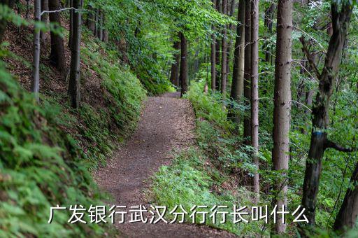 湖北武漢農(nóng)發(fā)行處長(zhǎng)叫什么，湖北省審計(jì)廳處級(jí)干部和各處處長(zhǎng)是誰(shuí)