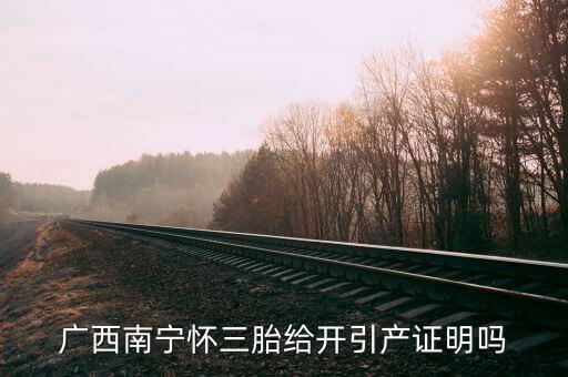 a廣西南寧生三胎有什么政策，2014年廣西人均收入2595元超生三胎罰款是多少錢