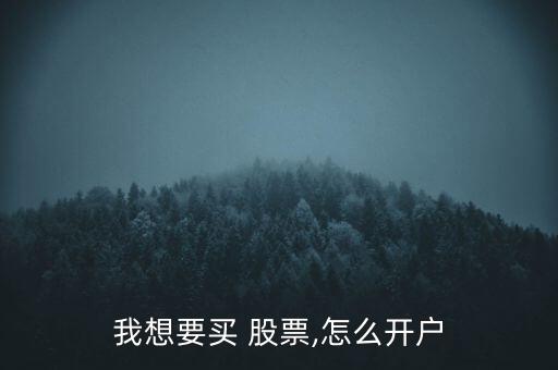 我想要買 股票,怎么開(kāi)戶