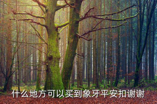在日本什么地方買象牙制品，什么地方有批發(fā)象牙飾品的