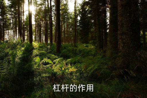 杠桿有什么用，杠桿的作用