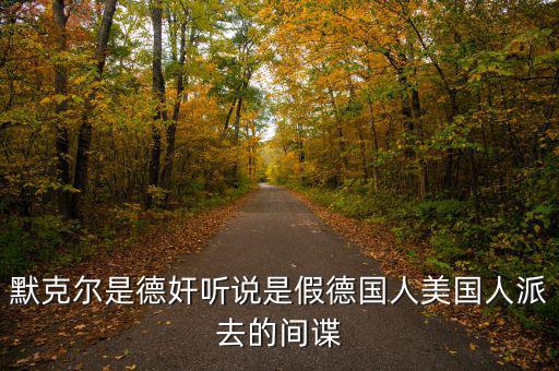 默克爾賭什么，默克爾是德奸聽說是假德國人美國人派去的間諜