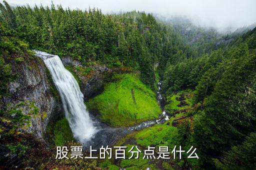 股份中的百分點(diǎn)是什么，在股票中百分點(diǎn)是指的什么