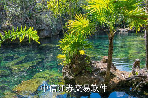 中信證券的交易軟件是什么，中信證券用什么軟件的