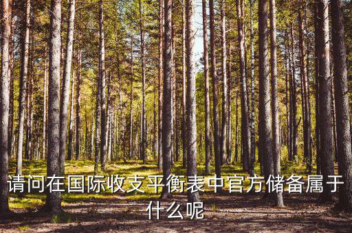 官方儲(chǔ)備資產(chǎn)包括什么，官方儲(chǔ)備資產(chǎn)包括固定資產(chǎn)嗎