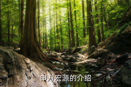 申萬宏源總經(jīng)理什么級，申萬宏源區(qū)分公司總經(jīng)理有行政級別嗎