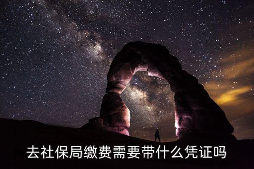 去社保局申報年度繳費(fèi)工資需要帶什么證件，去社保局繳費(fèi)需要帶什么憑證嗎