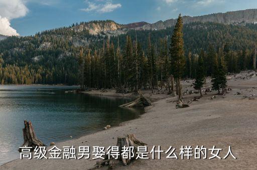 金融男喜歡什么樣的女生，高級金融男娶得都是什么樣的女人