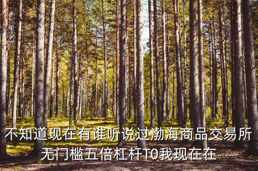 渤海商品多少倍杠桿是什么意思，專(zhuān)業(yè)做期貨的口中所謂幾倍杠桿幾倍杠桿到底是啥意思