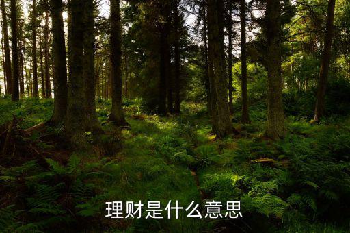 理財(cái)市場(chǎng)是什么，理財(cái)是什么意思