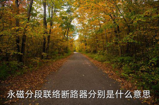 什么是永磁開關，什么是永磁