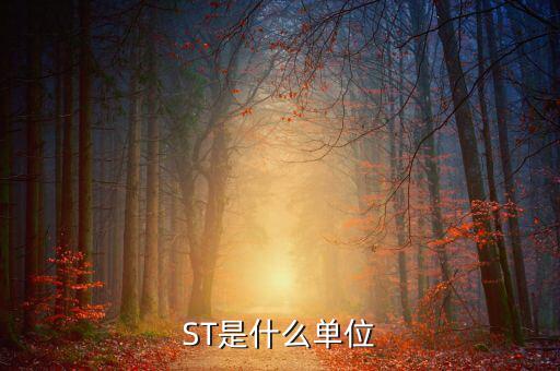 縮寫(xiě)st表示什么數(shù)量單位，ST是什么單位