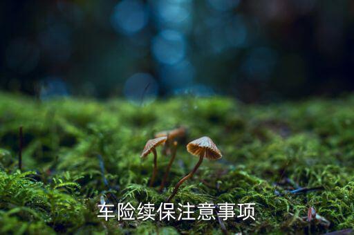 三大優(yōu)質(zhì)業(yè)務(wù)續(xù)保需要注意什么，保險要到期了問一下續(xù)保需要注意啥