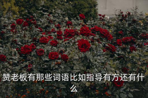 什么成語能夠形容房地產(chǎn)老板，贊老板有那些詞語比如指導(dǎo)有方還有什么