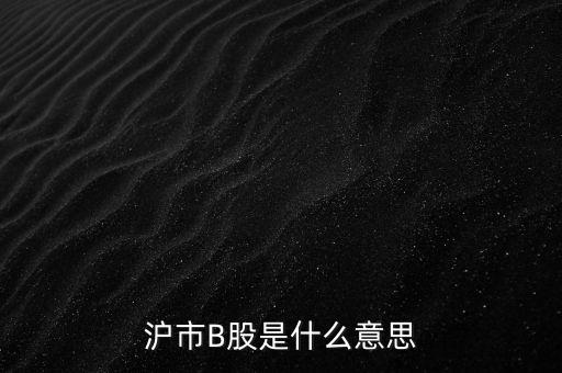 滬深b股是什么意思，滬市B股是什么意思
