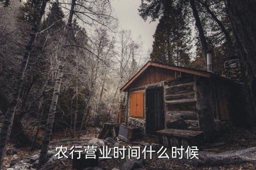 農(nóng)行什么時(shí)候上班，農(nóng)行上班時(shí)間