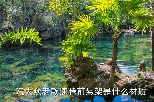 速騰懸掛是什么材質(zhì)，速騰前懸架下擺臂是什么材質(zhì)