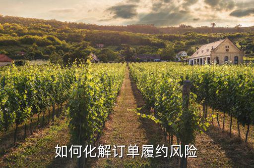 什么訂單執(zhí)行風(fēng)險，淘寶訂單險的問題