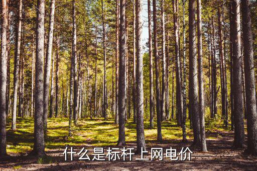 什么是標(biāo)桿電價(jià)，什么是標(biāo)桿上網(wǎng)電價(jià)