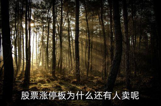 為什么已經(jīng)漲停的股票那么多人買，當天漲停的股票為什么還有那么多人買入跟進呢