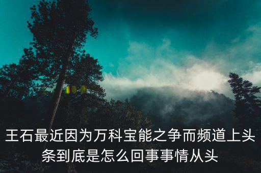 王石現(xiàn)在忙什么，王石現(xiàn)在在干什么