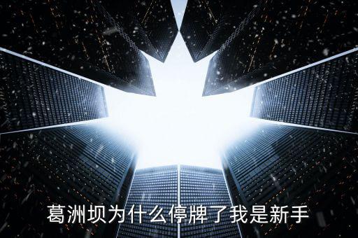 葛洲壩為什么停牌，葛洲壩為什么8月21日停牌