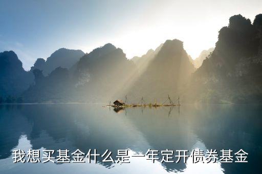 定開債券是什么意思，我想買基金什么是一年定開債券基金