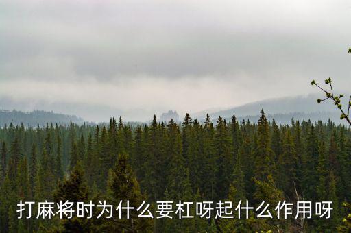 為什么要用杠桿，為什么有些杠桿要設(shè)計(jì)成費(fèi)力的呢