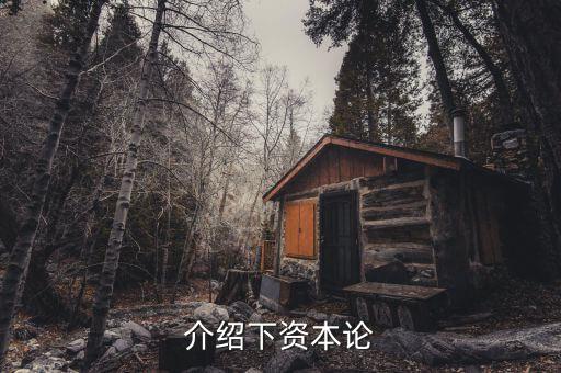 資本論是什么發(fā)表的，資本論 是馬克思寫的不