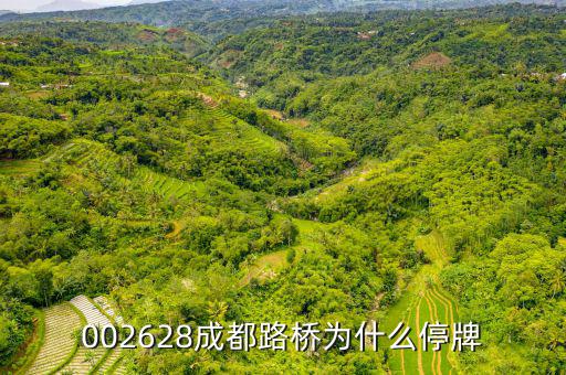 成都路橋今天什么情況，今天早成都等路橋的航班有沒有停航