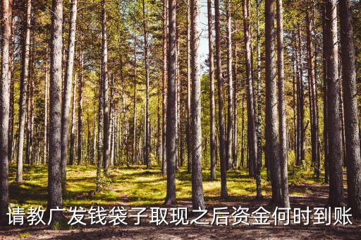 廣發(fā)錢袋子墊資什么時候，廣發(fā)錢袋子前天周末為什么沒有收益今天周一收益還沒出來