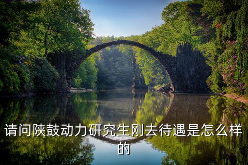陜鼓動力員工工資為什么高，西電集團陜煤集團陜鼓動力集團哪個待遇好另外還有西北電力集
