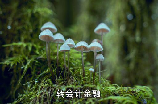 轉會計金融