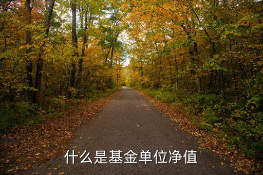 基金中什么是單位凈值，什么是基金單位凈值