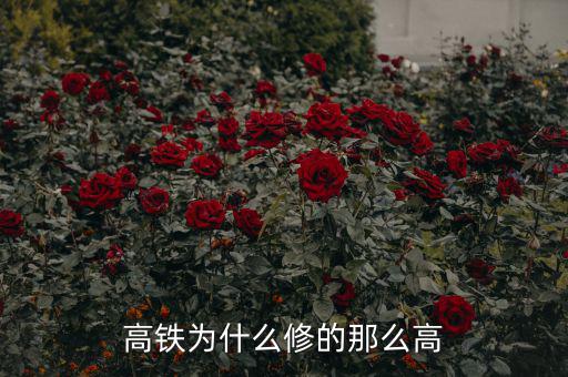 為什么要在國外修高鐵，中國建這么多高鐵為了什么
