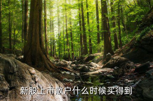 散戶什么時(shí)候才能買到新股，新股上市散戶什么時(shí)候買得到