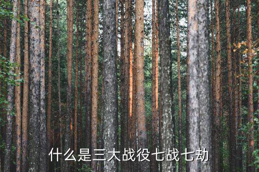 環(huán)保三大戰(zhàn)役是什么，我國有哪些環(huán)保行動