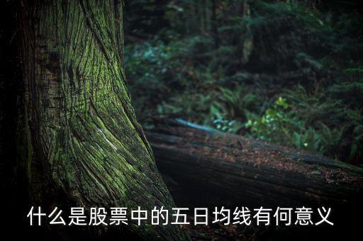 5日均線有什么用，什么是股票中的五日均線有何意義