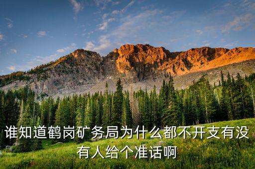 龍煤什么時候開資，誰知道鶴崗礦務(wù)局為什么都不開支有沒有人給個準(zhǔn)話啊