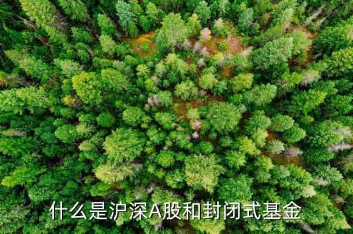 滬深封閉基金是什么意思，滬深封閉基金是什么意思呢如果我買(mǎi)了可以賣(mài)出嗎