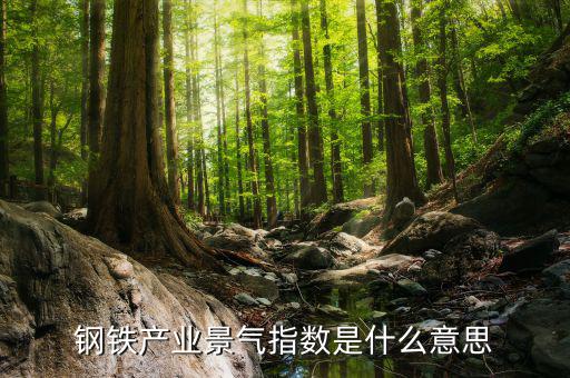 景氣度是什么意思，鋼鐵產(chǎn)業(yè)景氣指數(shù)是什么意思