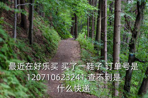 好樂買發(fā)什么快遞，我在好樂買用網(wǎng)銀付款買了雙鞋子請問他們都用什么快遞發(fā)貨