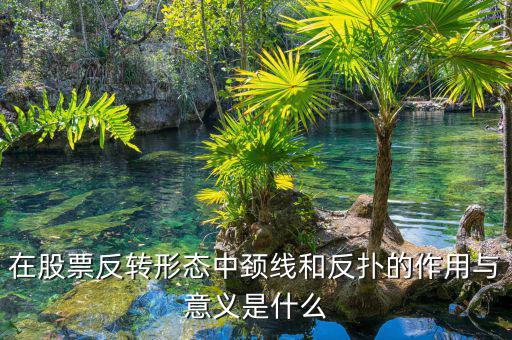 股票反撲是什么意思，在股票反轉(zhuǎn)形態(tài)中頸線和反撲的作用與意義是什么