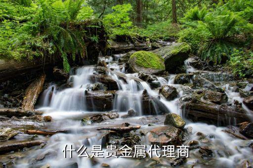 貴金屬做渠道是什么意思，什么是貴金屬延期交易渠道